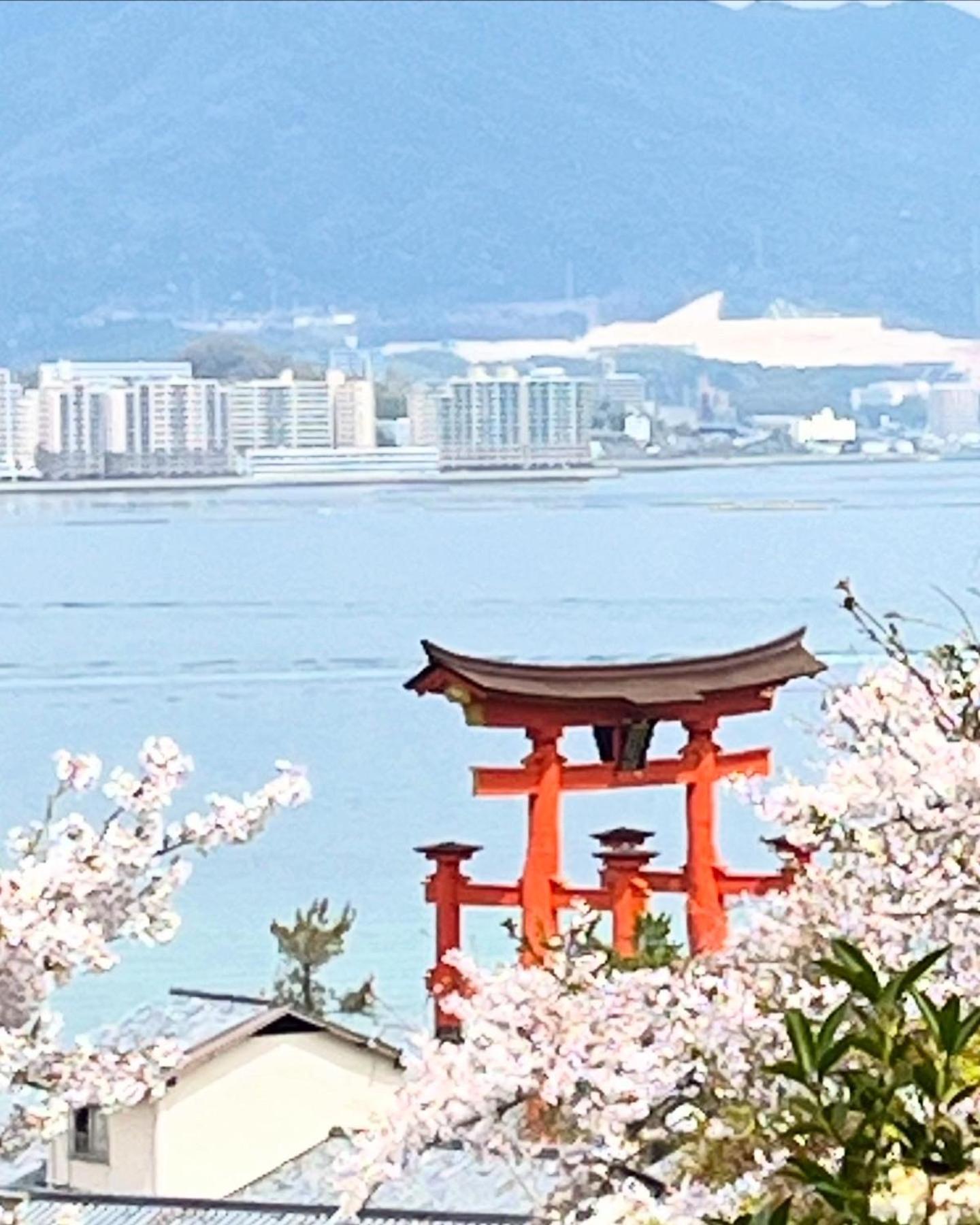 宮島 町家宿 進龍庵 هاتسوكايتشي المظهر الخارجي الصورة